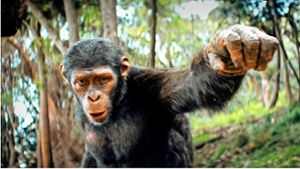 Neu im Kino: In „Planet der Affen“ kämpfen die Menschen ums Überleben