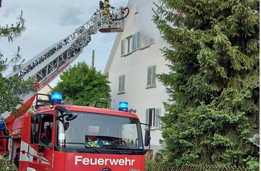 Mit der Drehleiter rettet  die Böblinger Feuerwehr eine Person aus dem Dachgeschoss –  übungshalber. Foto: Feuerwehr