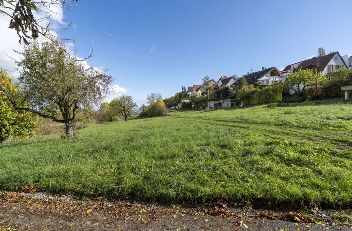Bauen in Leonberg: Naturschutz kontra Wohnraum?