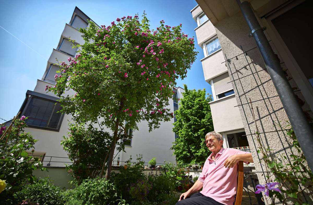 Christa Kellner hat  auf ihrem Balkon  bewusst Pflanzen ausgewählt, die  auch Bienen und Co. erfreuen.Fotos: Gottfried Stoppel