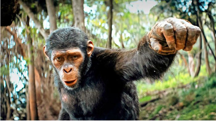 Neu im Kino: In „Planet der Affen“ kämpfen die Menschen ums Überleben