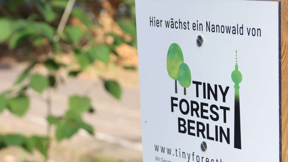 Grüne Lungen in der Stadt: Mannheim bekommt ersten Tiny Forest