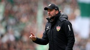 VfB Stuttgart bei Bayer Leverkusen: Diese Elf schickt Sebastian Hoeneß wohl ins Rennen