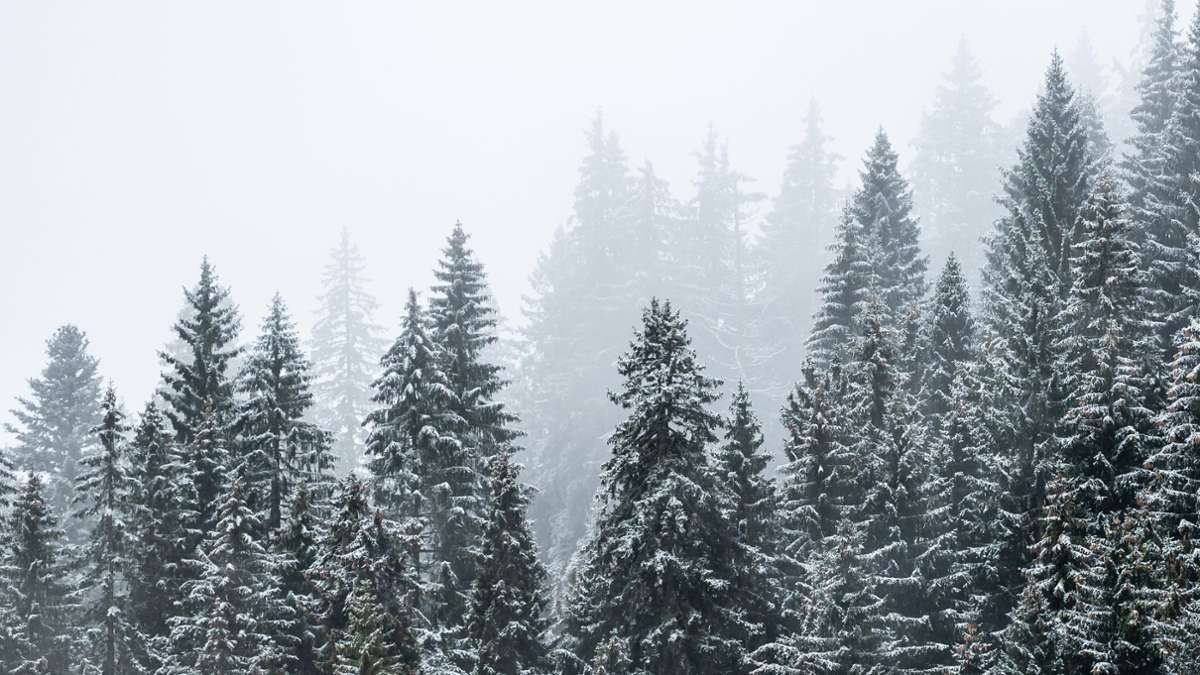 Winter-Wetter im Südwesten: Schnee auf der Höhe, Schmuddelwetter im Tal
