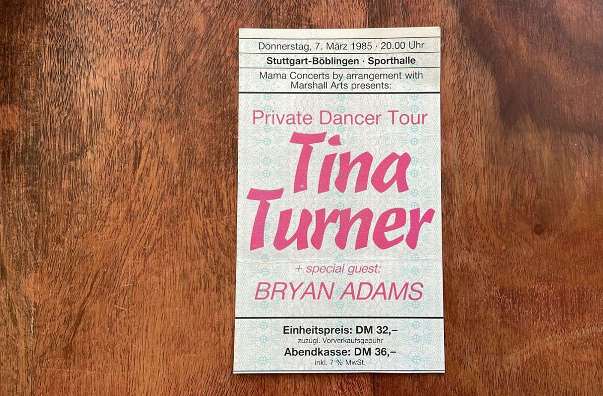 Konzert in der Sporthalle: Als Tina Turner in Böblingen röhrte