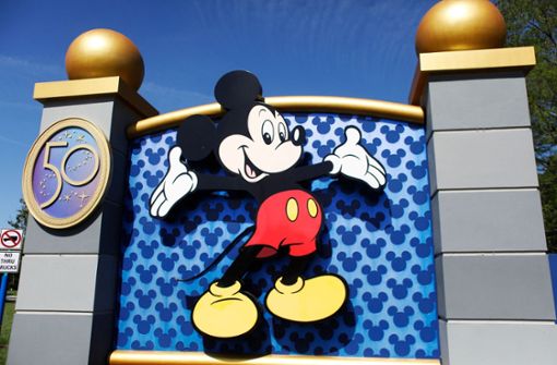Der Disney-Konzern verliert seine Sonderstellung im US-Bundesstaat Florida. Foto: AFP/OCTAVIO JONES