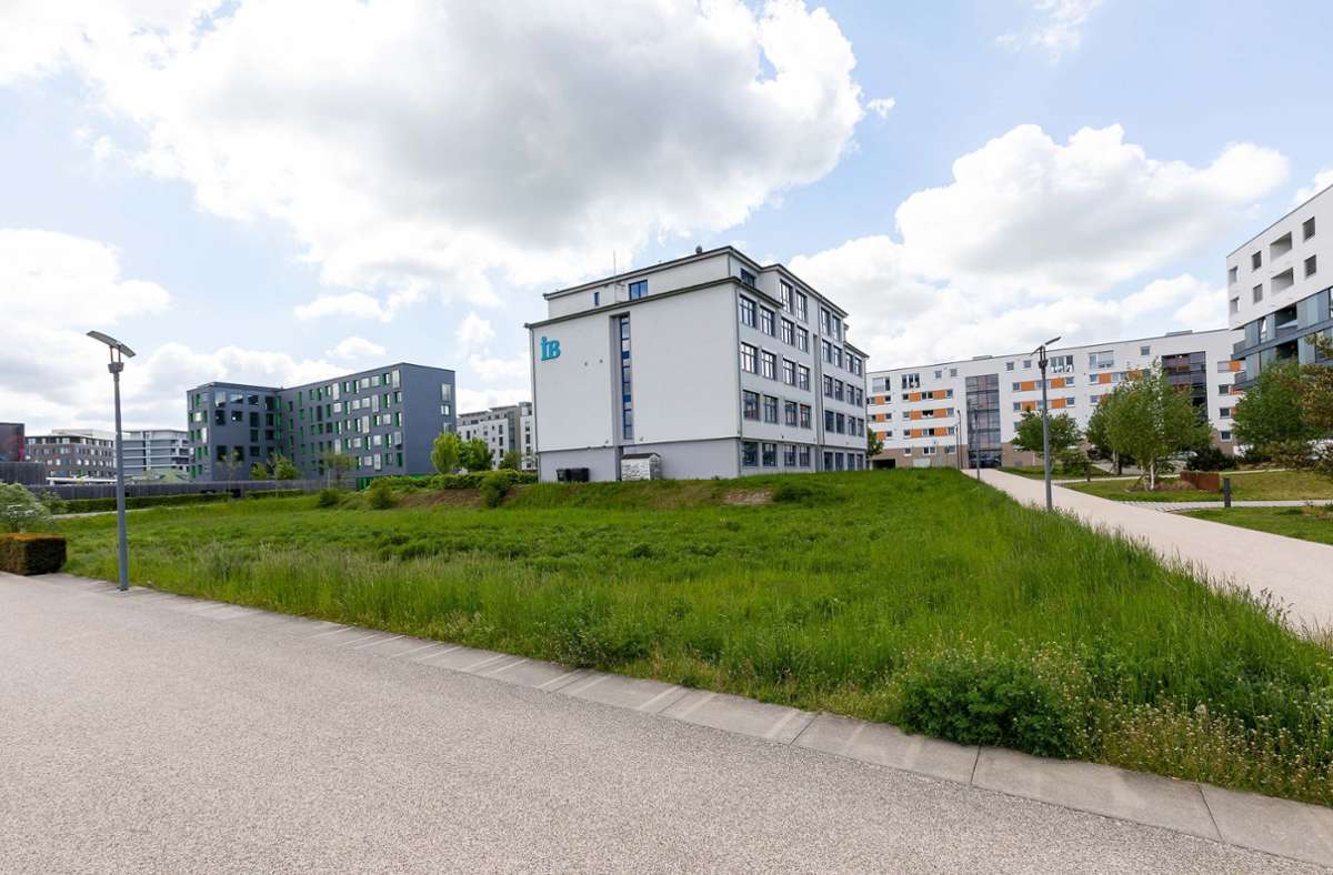 Schulbau in Böblingen: Eine neue Grundschule für das Flugfeld