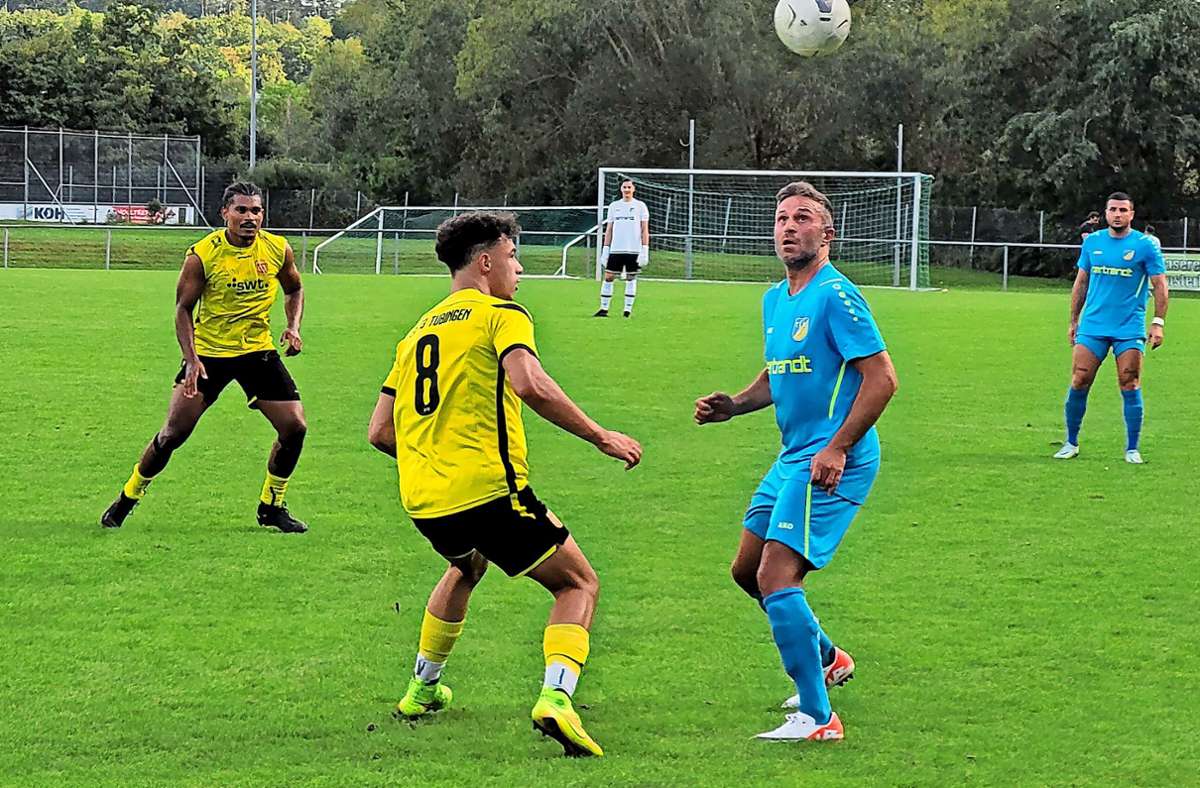 Fußball-Landesliga, Staffel III: TSV Ehningen kehrt mit Arbeitssieg zurück in die Erfolgsspur