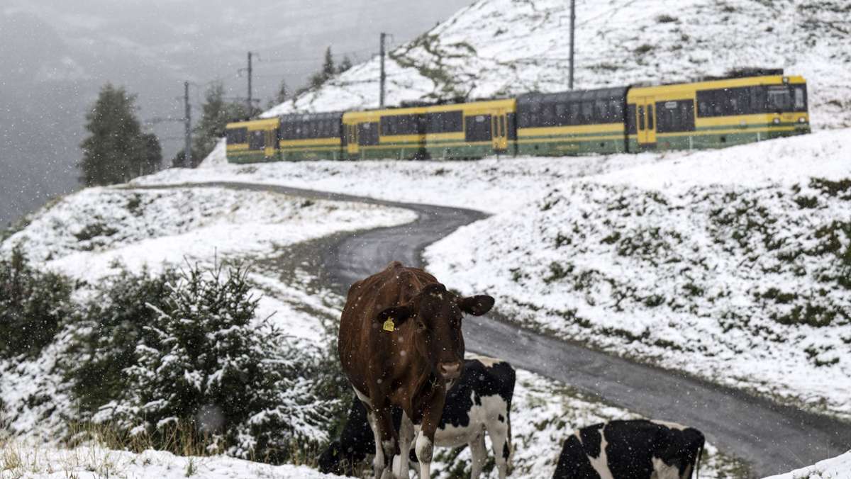 Spätsommerlicher Wintereinbruch: Wo gibt es den ersten Schnee in den Alpen?