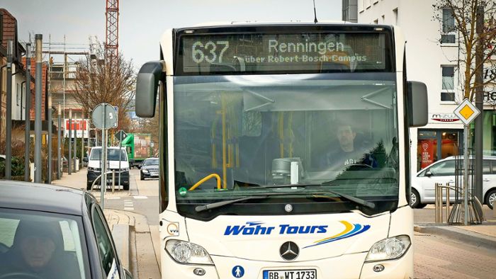 Der „Bus auf Bestellung“ fährt auch zum Traumpalast