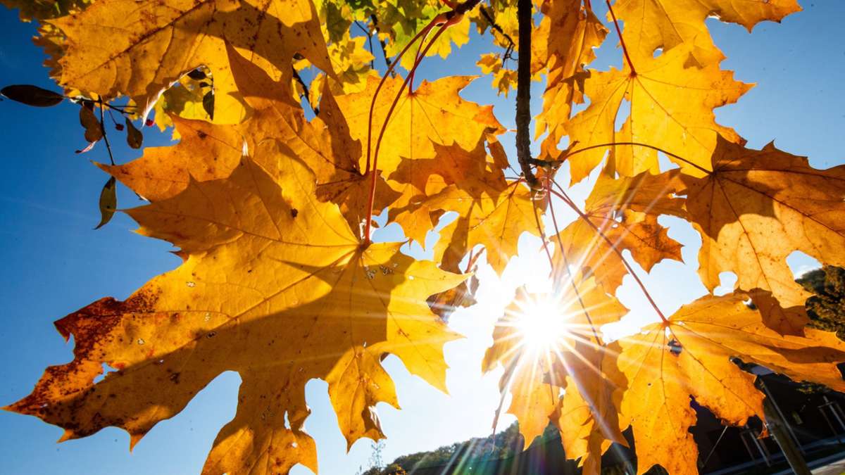 Baden-Württemberg: Oktober war laut Wetterdienst viel zu mild