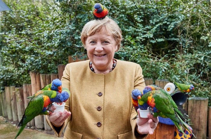 Kanzlerin im Vogelpark Marlow: Angela Merkel zeigt sich als Papageienflüsterin