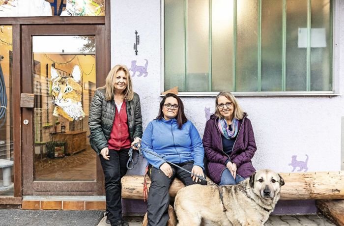 Kreistierheim und Tierschutzheim in Böblingen: Harte Zeiten für die Tierheime
