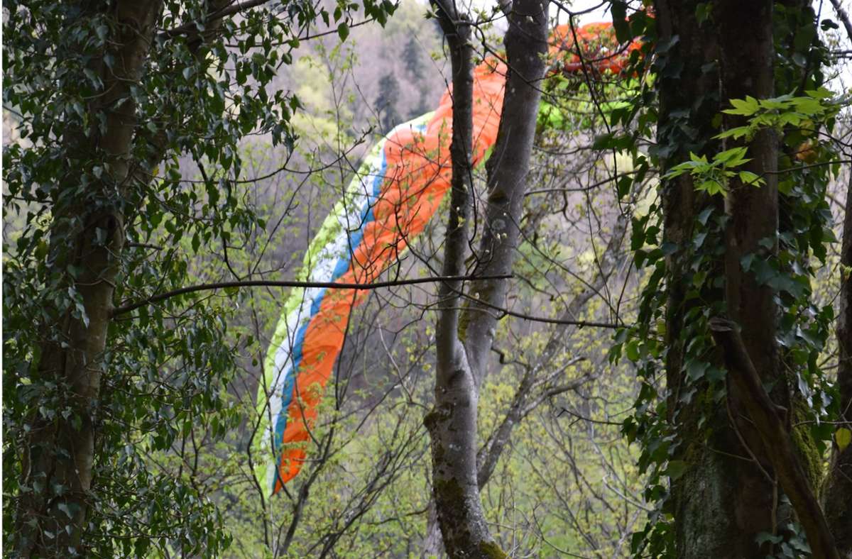 Baden-Baden: Gleitschirmpilot stürzt ab und bleibt in Bäumen hängen