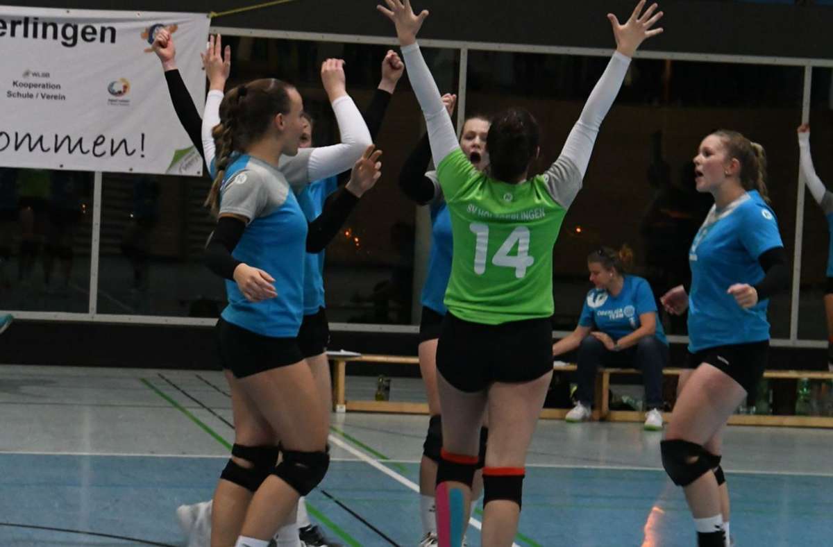 Volleyball-Oberliga Frauen: Holzgerlingen setzt auf die Heimstärke