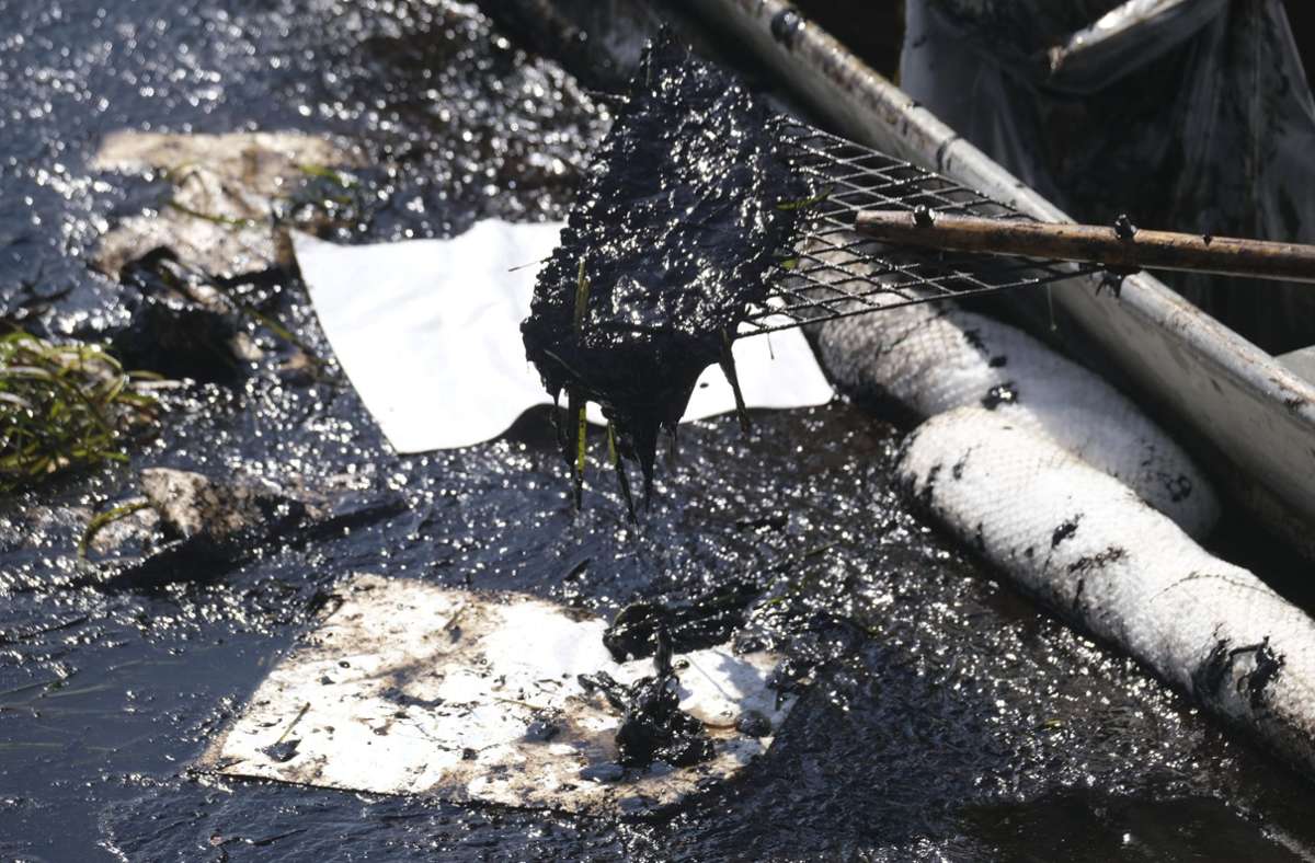 Südkalifornien: Ölteppich bedroht Küste – Tiere sterben