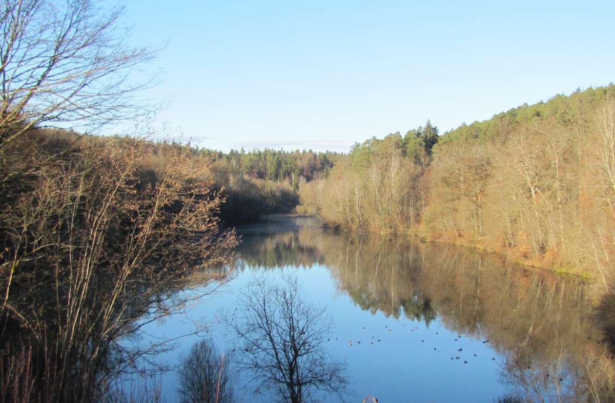 Sulzbachstausee: Naturschützer wollen Oase der Ruhe erhalten