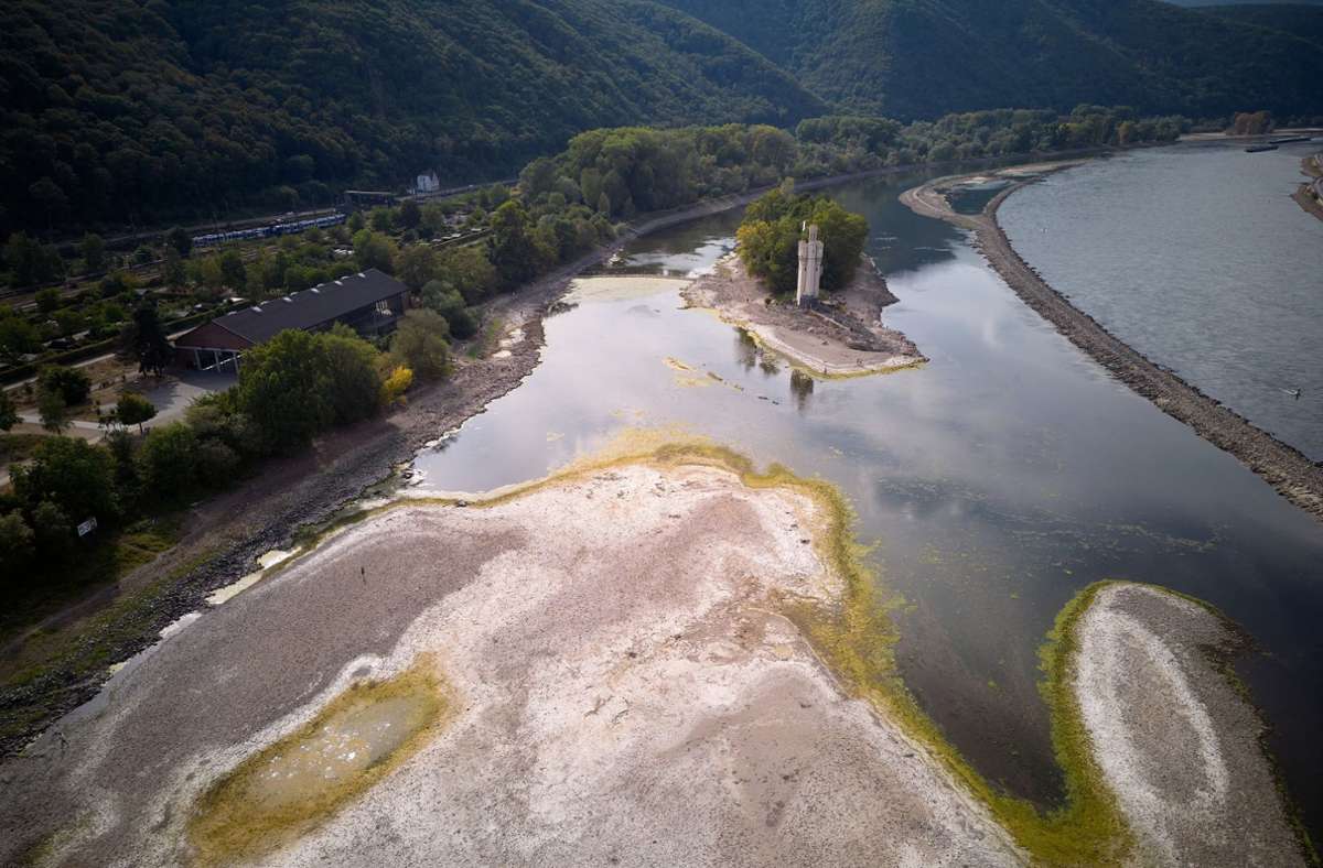 Trockenheit in Deutschland: Rheinpegel sinkt weiter - neuer historischer Tiefststand