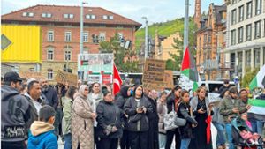 Pro-Palästina-Demo zieht 500 Teilnehmer an