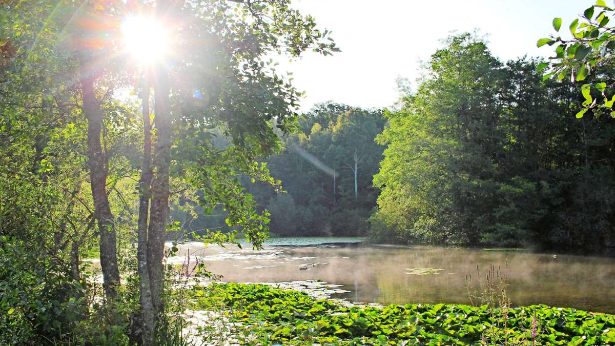 Gewässer bei Filderstadt: Im Herbst wird der Schlamm aus dem Bärensee gesaugt