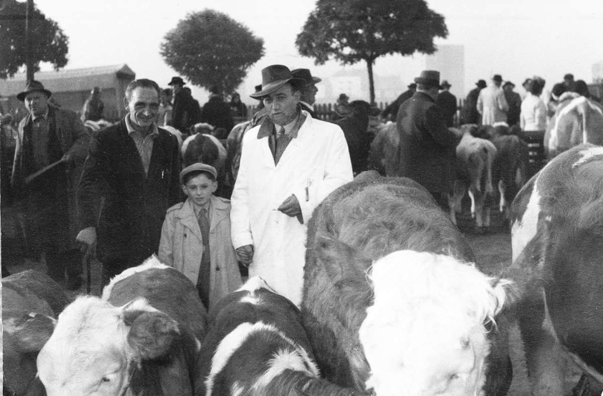 Harry Kahn kehrte nach dem KZ zurück nach Baisingen und wurde wieder Viehändler – wie vor dem Krieg. Sein Sohn Fredy musste mit zu Märkten.