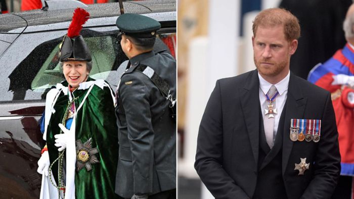Prinz Harry hinterm Federbusch: Prinzessin Anne spricht über „diesen Hut“