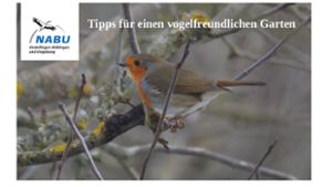 Altdorf: Tipps für einen vogelfreundlichen Garten