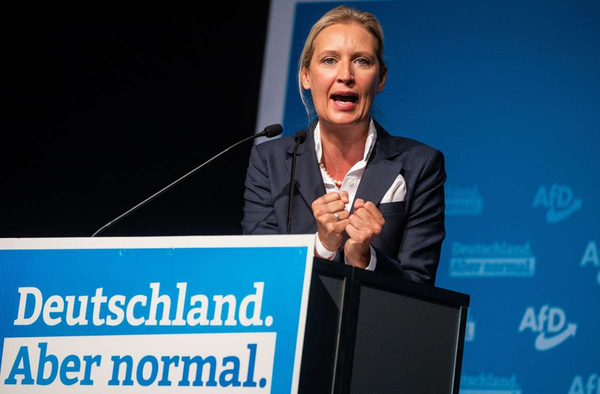 AfD-Parteitag in Stuttgart: Landesparteitag geprägt von Zwist zwischen Vorstand und Basis