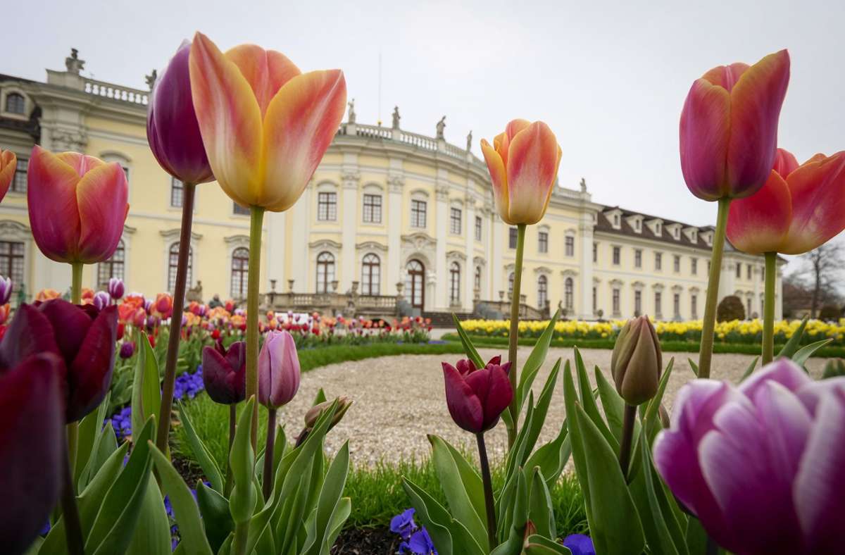 Frühling im Blühenden Barock: Österliches rund ums Schloss
