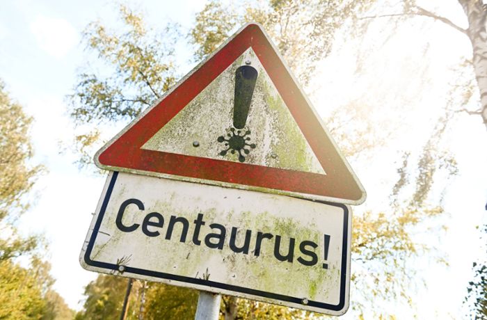 Neue Omikron-Variante: „Centaurus“ auf dem Vormarsch in Indien