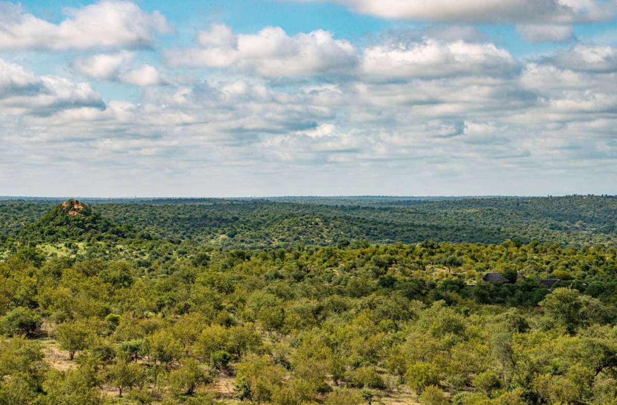 Kruger-Nationalpark in Südafrika: Deutscher Tourist bei Überfall getötet