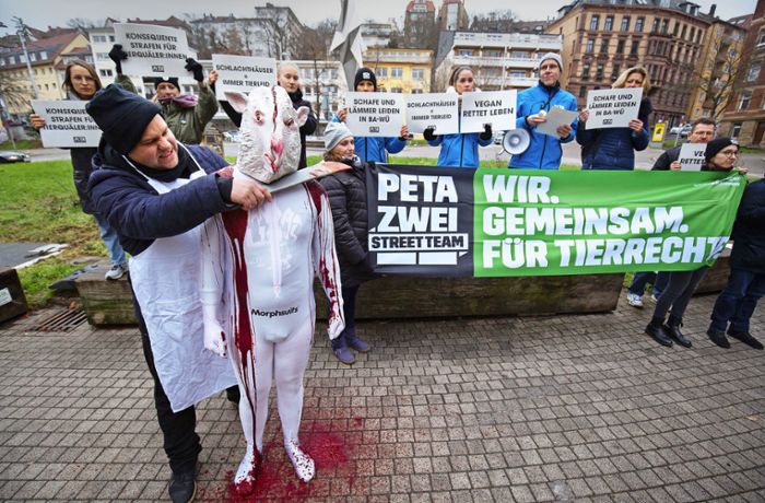 Tiere ohne Betäubung getötet: Schäferei in Eberdingen soll illegal Schafe geschächtet haben