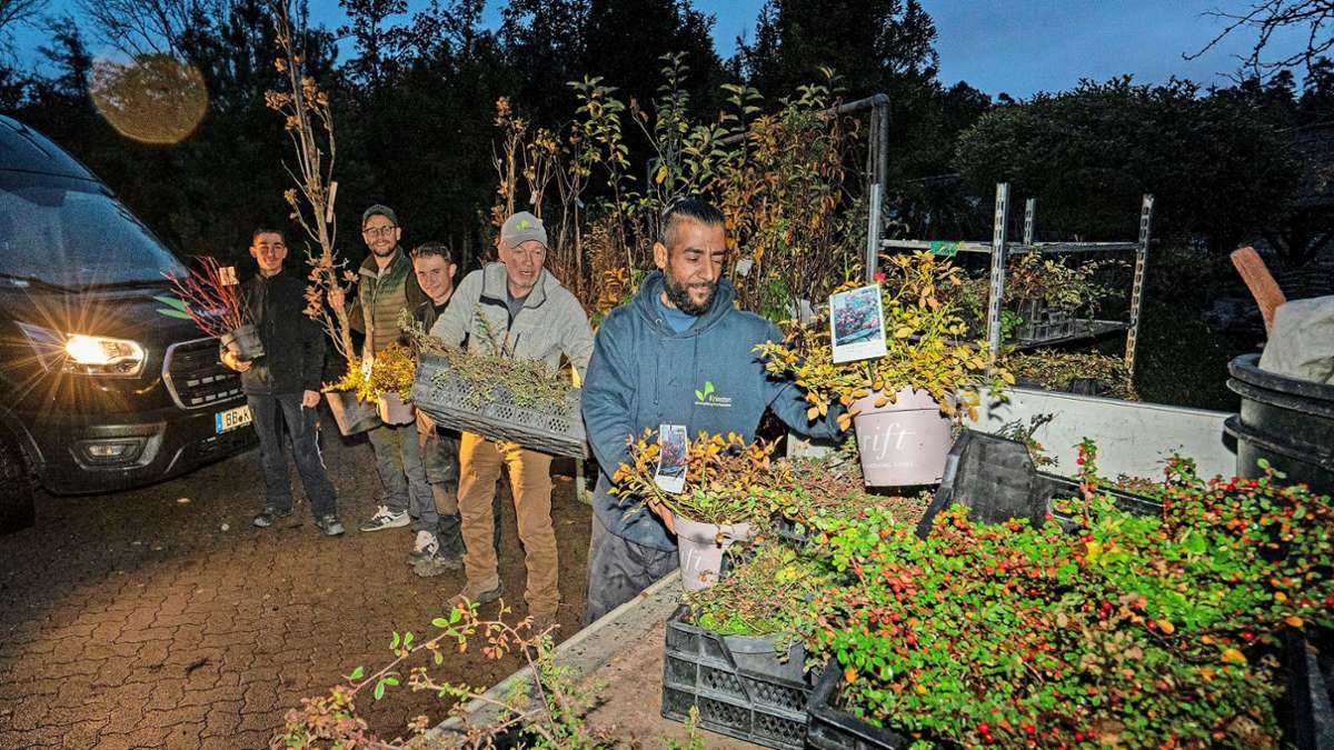 Kriesten Garten im Mahdental: Gartencenter pflanzt Bäume und Sträucher  im Ahrtal