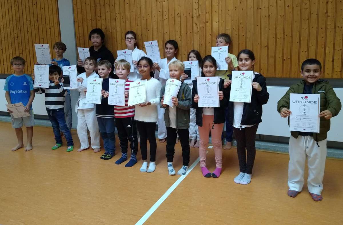 Karate bei der SV Böblingen: 19 kleine Kämpfer stellen sich Prüfung zum Weiß- und Gelbgurt