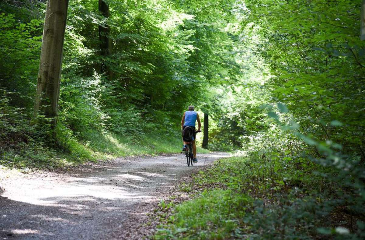 Zwischen Aidlingen und Dätzingen: Radweg im Würmtal wird asphaltiert