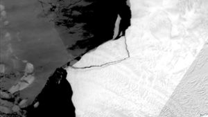 Großer Eisberg von Antarktis-Schelfeis abgebrochen