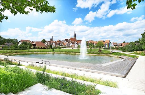 Blick vom Bahnhof über den neuen Teich zur Eppinger Altstadt Foto: Stadt Eppingen/oh