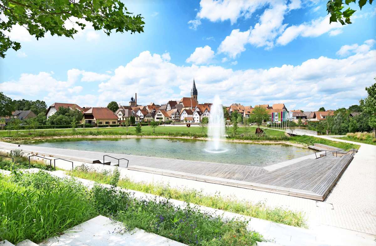 Blick vom Bahnhof über den neuen Teich zur Eppinger Altstadt Foto: Stadt Eppingen/oh