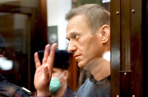 Der Aktivist Alexej Nawalny  während einer Anhörung in Moskau Foto: dpa/Moscow City Court Press Office