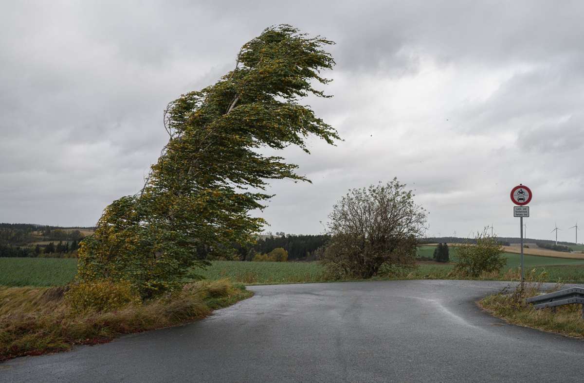 In Bayern biegen sich die Bäume im Wind.