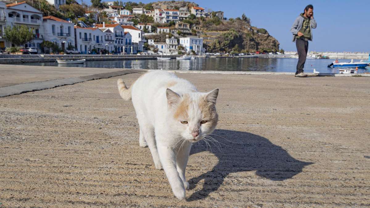 Urlaub in Griechenland: Der goldene Herbst soll’s richten