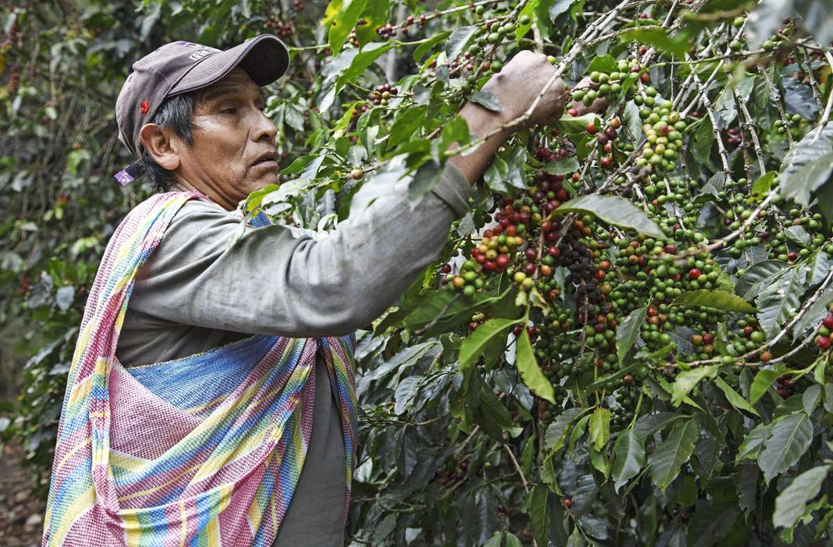 Fairtrade im Kreis Böblingen: Faire Händler gesucht