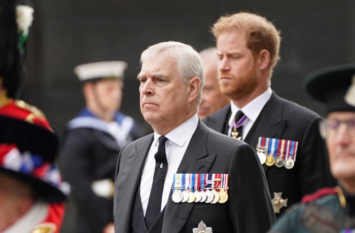 Britische Royals: Debatte um Harry und Andrew als Staatsräte von König Charles