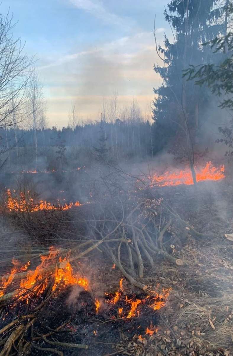 Die Feuerwehr Gäeufelden wurde am Montagnachmittag zu einem Waldbrand im Bereich Schäferwald gerufen.
