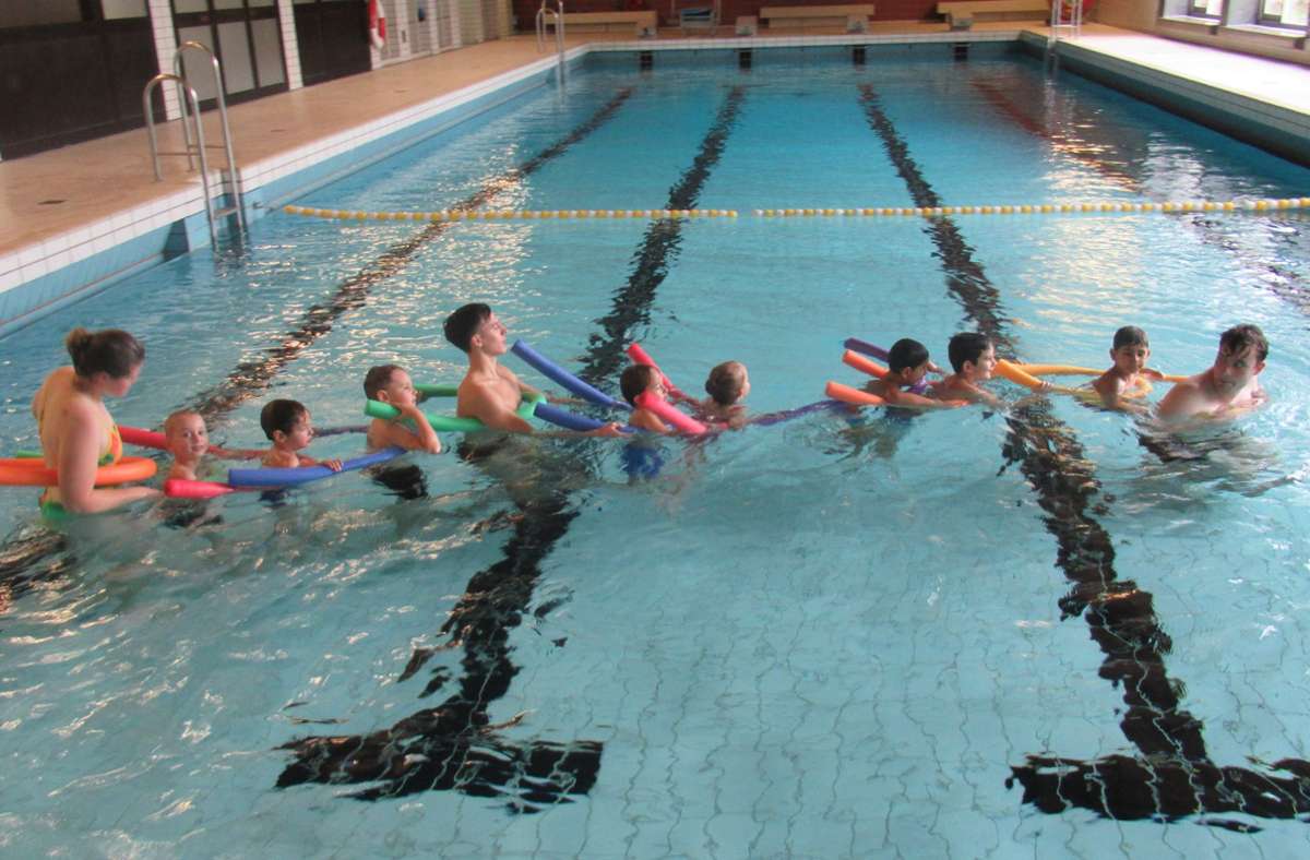 Schwimmen Jugend: Die Mini-Haie des VfL Sindelfingen machen weiter