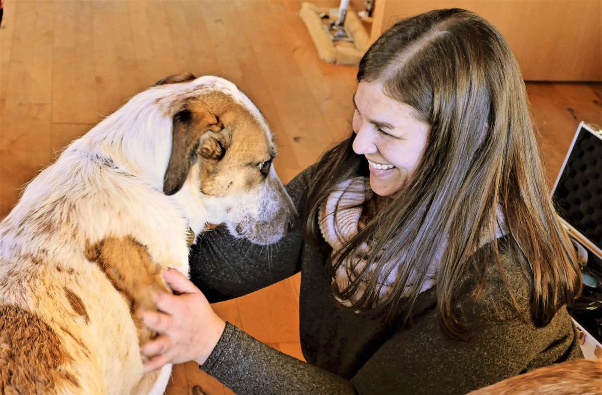 Besondere Physiotherapeutin aus Weil im Schönbuch: Hundeflüsterin hilft Patienten auf Pfoten