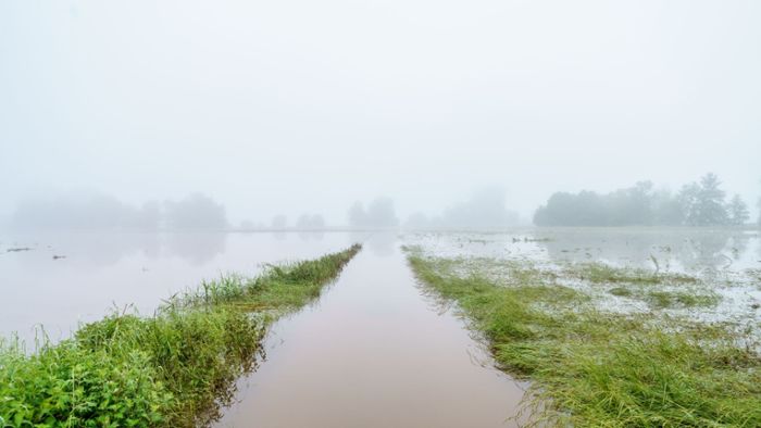 Agrarwirtschaft: Saar-Bauern leiden unter Hochwasserschäden