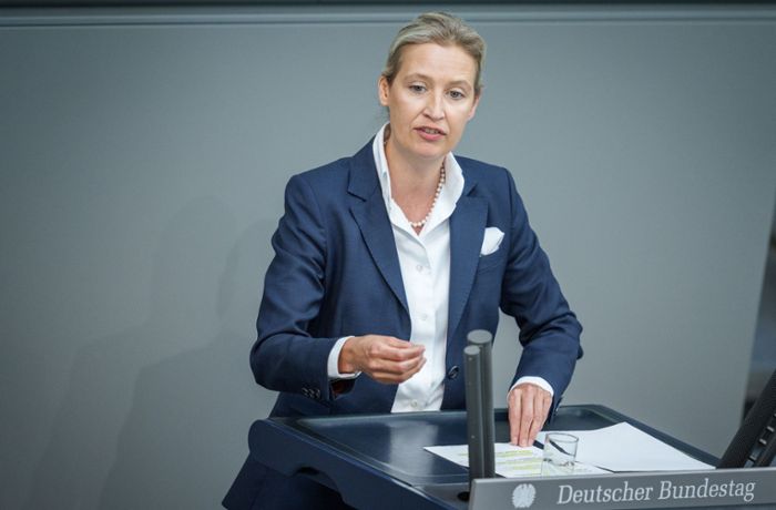 AfD im Bundestag: Chatprotokolle enthüllen das Innenleben der Rechtspartei