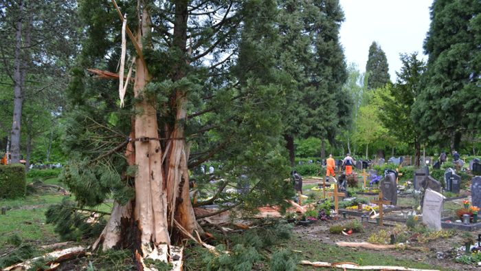Unwetter im Kreis Böblingen: Blitzschlag in Schule und auf dem Friedhof