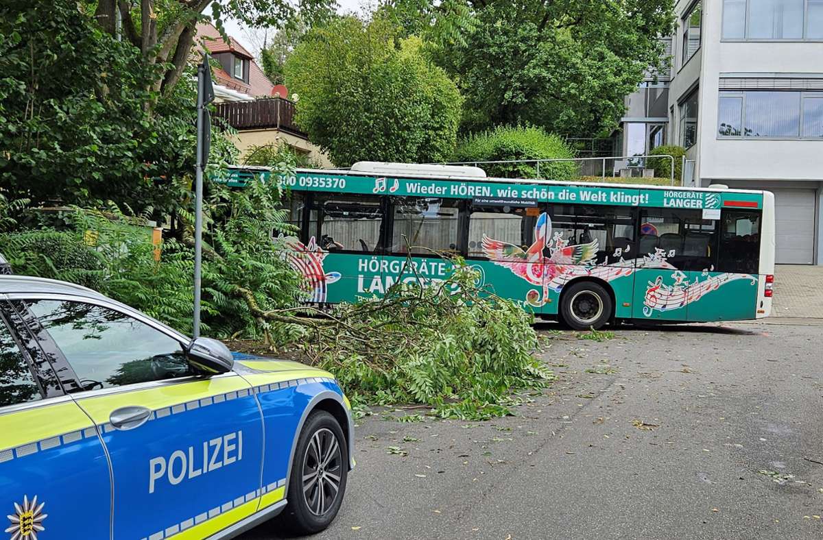 Unfall in Nürtingen: Bus fährt gegen Baum – Alle 41 Insassen verletzt